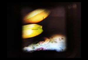 Jakob Lang, Trinity, Poetische Fotografie, Poetic Photografic, Salzburger Festspiele 2026, Programmhefte Salzburger Festspiel Konzert, Foto, Fotokunst, Bayern, Landschaft, Photoart, Grafic, Fine Art, Digital, Analog, Fotografik, photo, Tiefenwirkung, zeitgenössische Fotografie, Neue Technik, contemporary art, contemporary photos, artist, Künstler, innovative art, Innovative Kunst, Schwarz Weiß, bunt, Schwarz-Weiß Foto, blackandwhite, Limited Edition, Limitierte Auflage, Kunstdruck